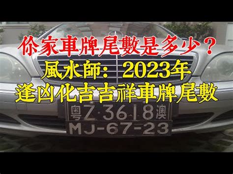 屬狗車牌|屬狗選車牌號碼，吉祥數字有哪些適合？